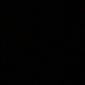 Meet your Posher, Donovan